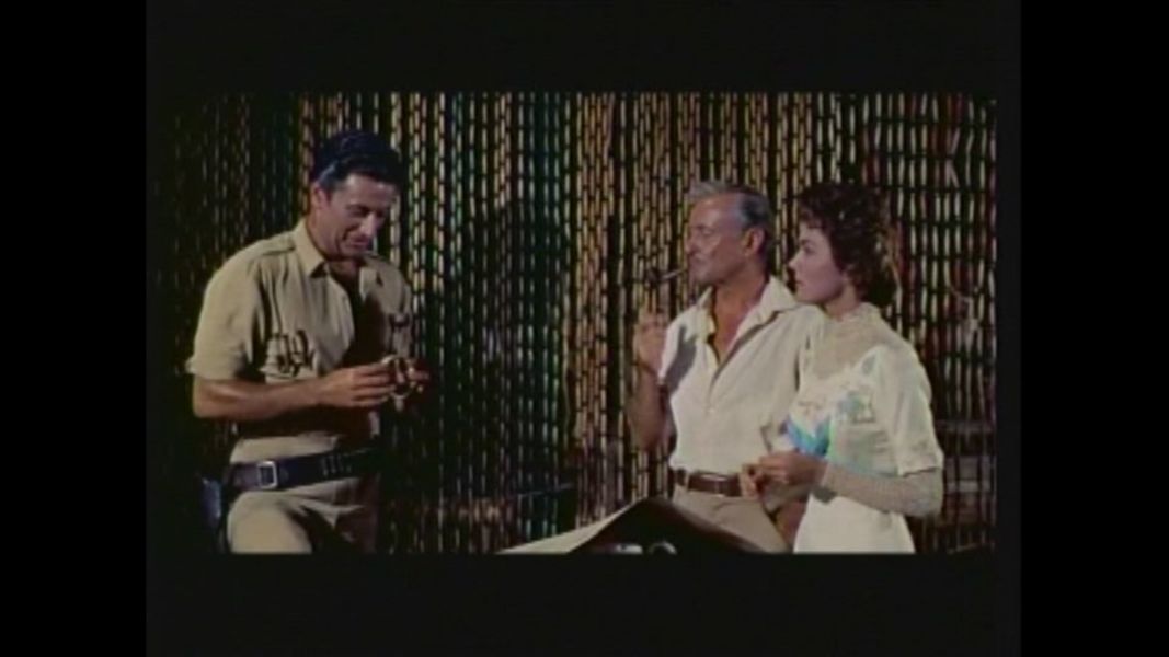 (Bild für) Tarzan - der Herr des Urwalds - 1959 (DVD+R uncut)
